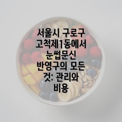 서울시 구로구 고척제1동에서 눈썹문신 반영구의 모든 것: 관리와 비용