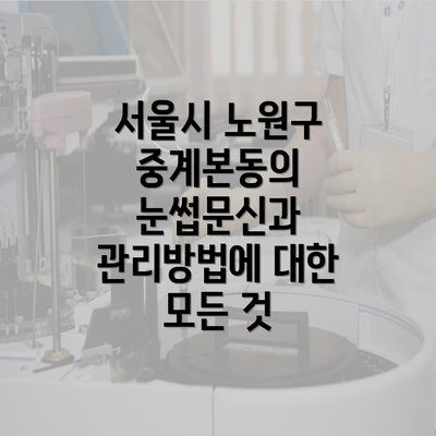 서울시 노원구 중계본동의 눈썹문신과 관리방법에 대한 모든 것