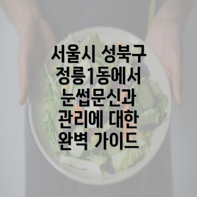 서울시 성북구 정릉1동에서 눈썹문신과 관리에 대한 완벽 가이드