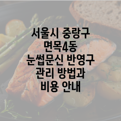 서울시 중랑구 면목4동 눈썹문신 반영구 관리 방법과 비용 안내