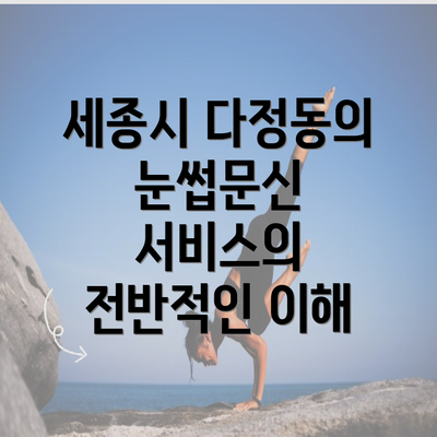 세종시 다정동의 눈썹문신 서비스의 전반적인 이해