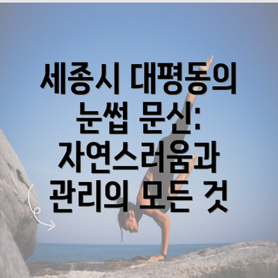 세종시 대평동의 눈썹 문신: 자연스러움과 관리의 모든 것