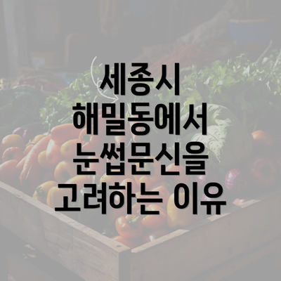 세종시 해밀동에서 눈썹문신을 고려하는 이유