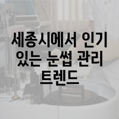 세종시에서 인기 있는 눈썹 관리 트렌드