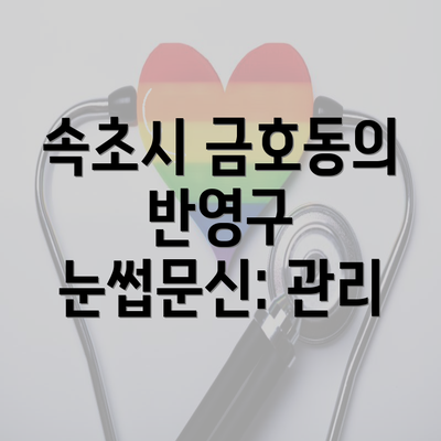 속초시 금호동의 반영구 눈썹문신: 관리