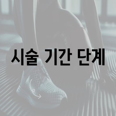 시술 기간 단계