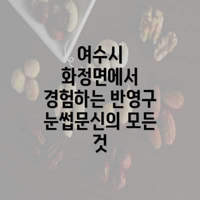 여수시 화정면에서 경험하는 반영구 눈썹문신의 모든 것