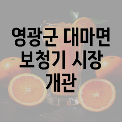 영광군 대마면 보청기 시장 개관