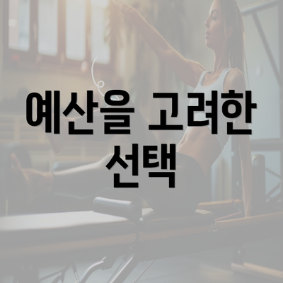 예산을 고려한 선택