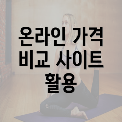 온라인 가격 비교 사이트 활용