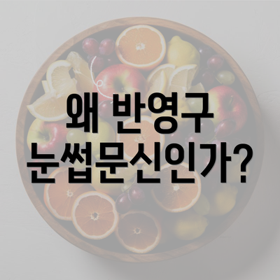 왜 반영구 눈썹문신인가?