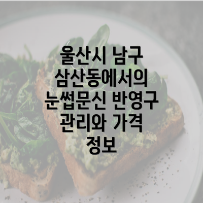 울산시 남구 삼산동에서의 눈썹문신 반영구 관리와 가격 정보