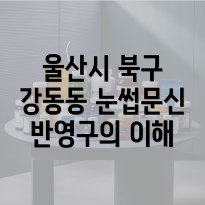 울산시 북구 강동동 눈썹문신 반영구의 이해