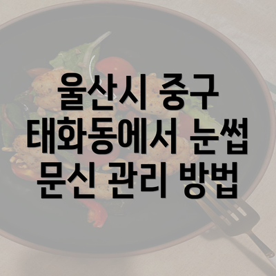 울산시 중구 태화동에서 눈썹 문신 관리 방법