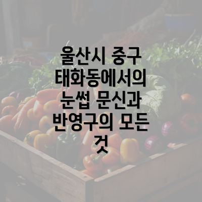 울산시 중구 태화동에서의 눈썹 문신과 반영구의 모든 것