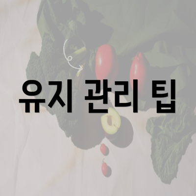 유지 관리 팁