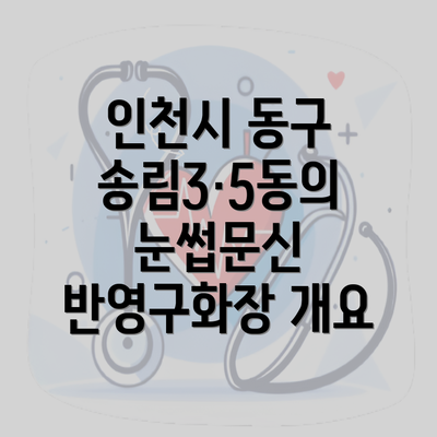 인천시 동구 송림3·5동의 눈썹문신 반영구화장 개요