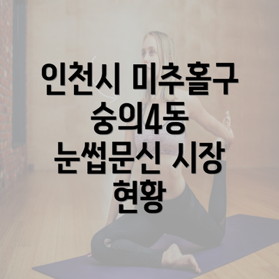 인천시 미추홀구 숭의4동 눈썹문신 시장 현황