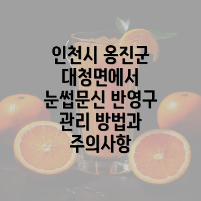 인천시 옹진군 대청면에서 눈썹문신 반영구 관리 방법과 주의사항