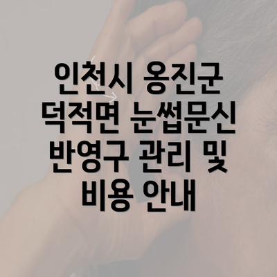 인천시 옹진군 덕적면 눈썹문신 반영구 관리 및 비용 안내