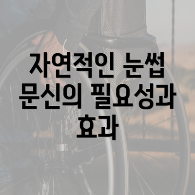 자연적인 눈썹 문신의 필요성과 효과