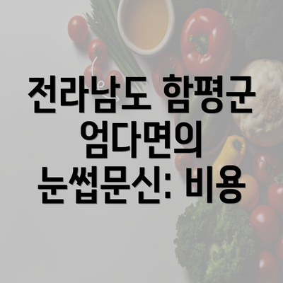 전라남도 함평군 엄다면의 눈썹문신: 비용