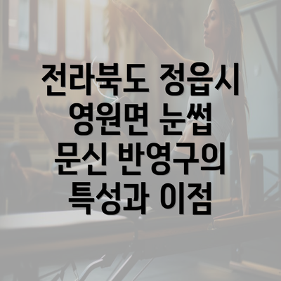 전라북도 정읍시 영원면 눈썹 문신 반영구의 특성과 이점