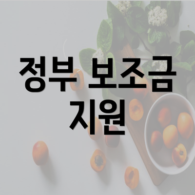 정부 보조금 지원