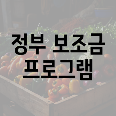 정부 보조금 프로그램