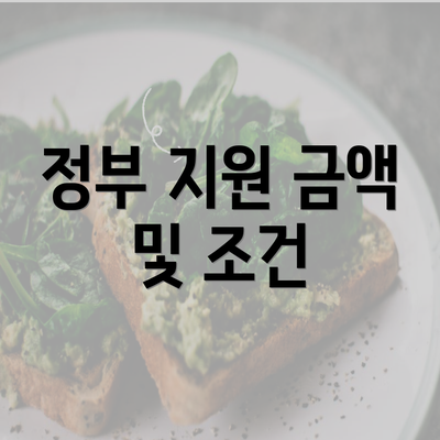 정부 지원 금액 및 조건