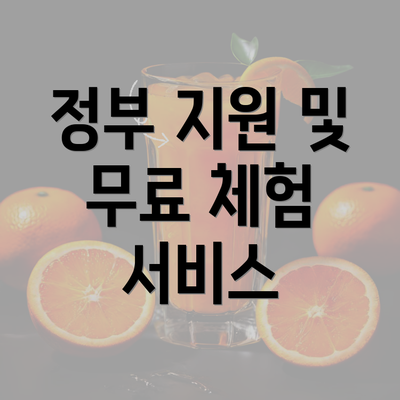 정부 지원 및 무료 체험 서비스