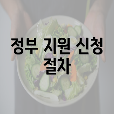 정부 지원 신청 절차