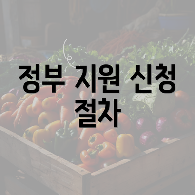 정부 지원 신청 절차