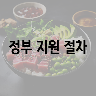 정부 지원 절차