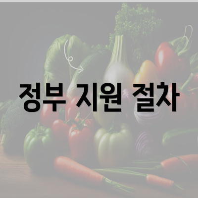 정부 지원 절차