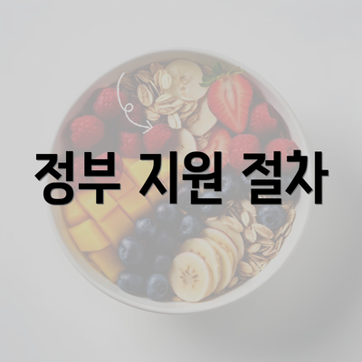 정부 지원 절차