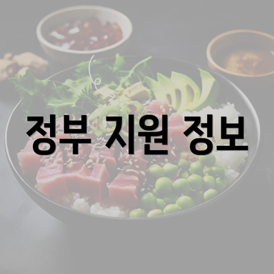 정부 지원 정보