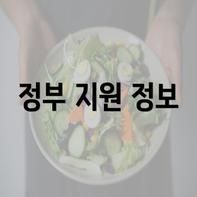 정부 지원 정보