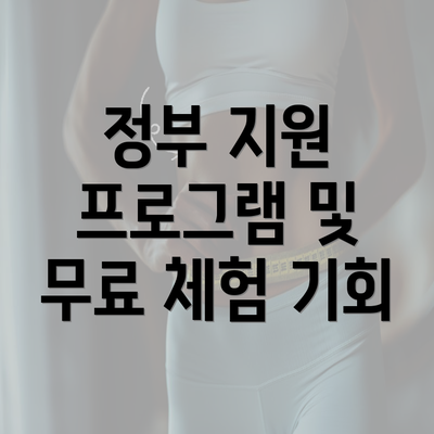 정부 지원 프로그램 및 무료 체험 기회