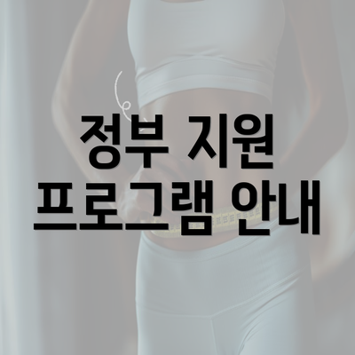 정부 지원 프로그램 안내