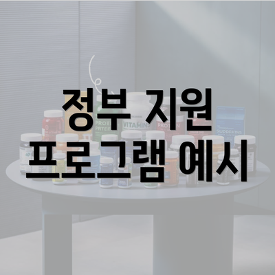 정부 지원 프로그램 예시