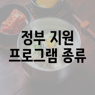 정부 지원 프로그램 종류