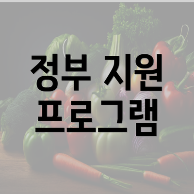 정부 지원 프로그램