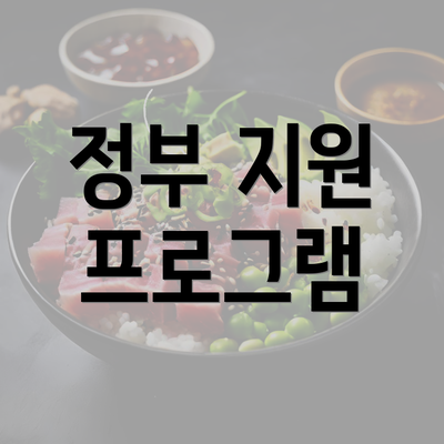 정부 지원 프로그램