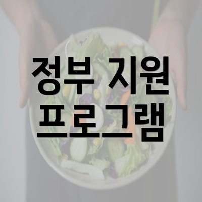 정부 지원 프로그램