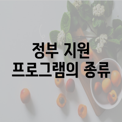 정부 지원 프로그램의 종류