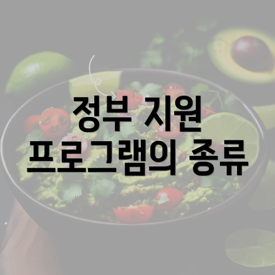 정부 지원 프로그램의 종류