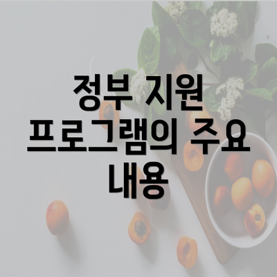 정부 지원 프로그램의 주요 내용