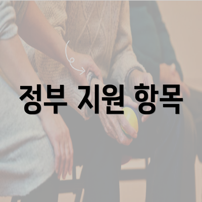 정부 지원 항목