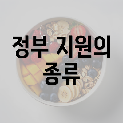 정부 지원의 종류